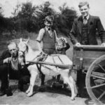019 markt 24 7 1943 Hein Offermans en Jantje Schuijren met zijn bokkenwagen geflankeerd door medewerkers van de slagerij