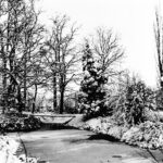 020 allee 057a geretoucheerd