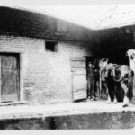 077 putstraat cremers