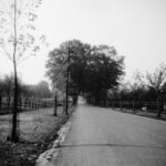 Hommerter Allee Amstenrade 24