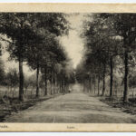 Hommerter Allee Amstenrade 33