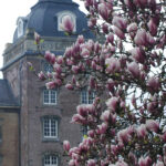Kasteel en kasteelpark Amstenrade 03